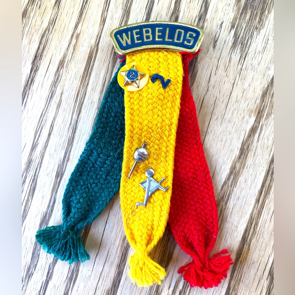 BSA VTG Webelos Colors